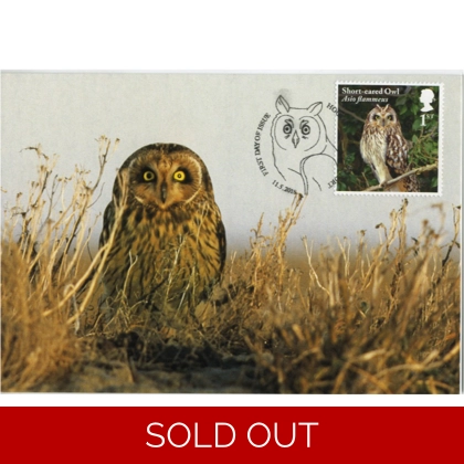 4083x Short-eared Owl maximum card 2018